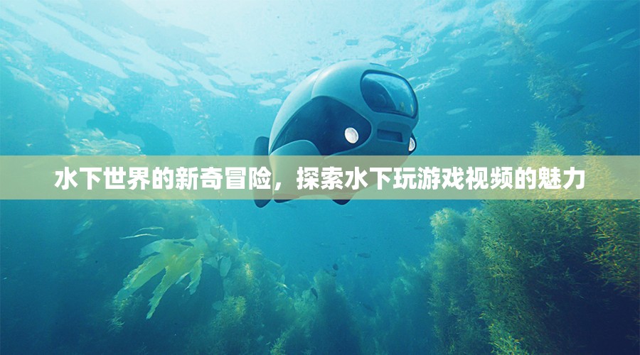 水下世界的新奇冒險，探索水下玩游戲視頻的魅力  第2張