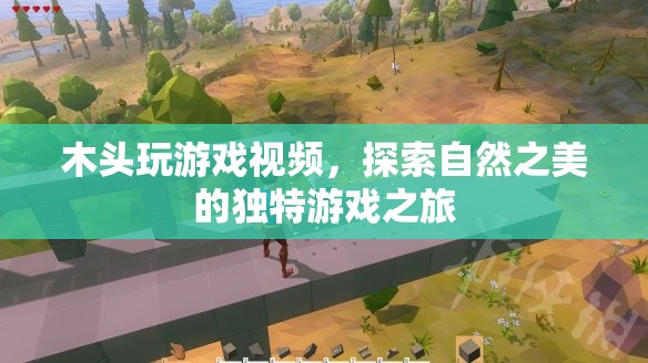 探索自然之美，木頭玩游戲的獨(dú)特之旅