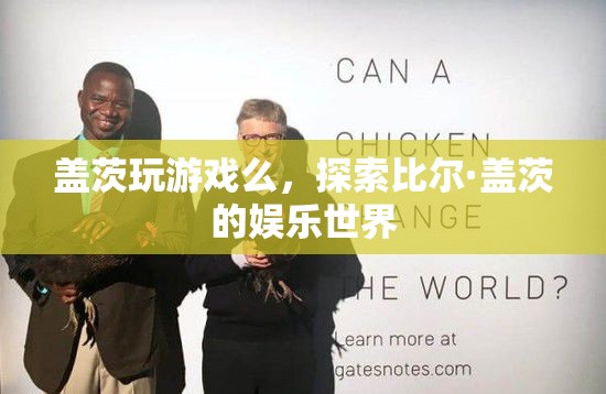 探索比爾·蓋茨的娛樂世界，游戲愛好者還是其他愛好？  第3張