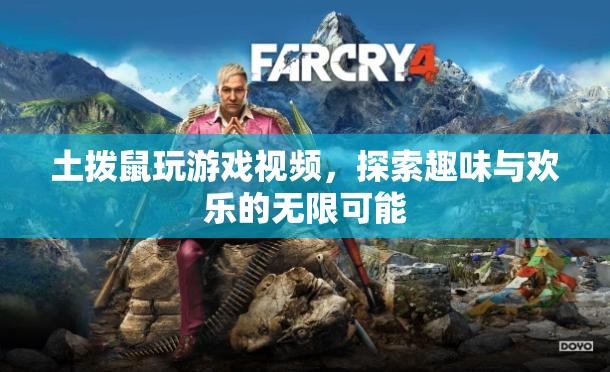 土撥鼠玩游戲，探索趣味與歡樂(lè)的無(wú)限可能  第1張