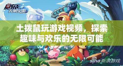 土撥鼠玩游戲，探索趣味與歡樂(lè)的無(wú)限可能  第2張