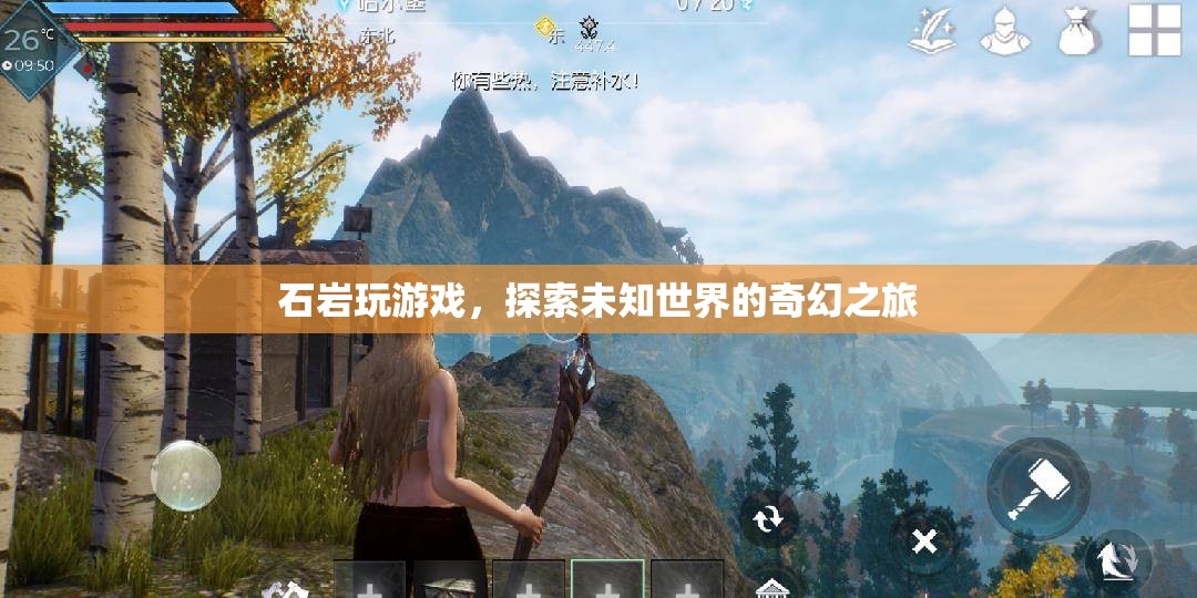石巖的奇幻游戲之旅，探索未知世界的冒險