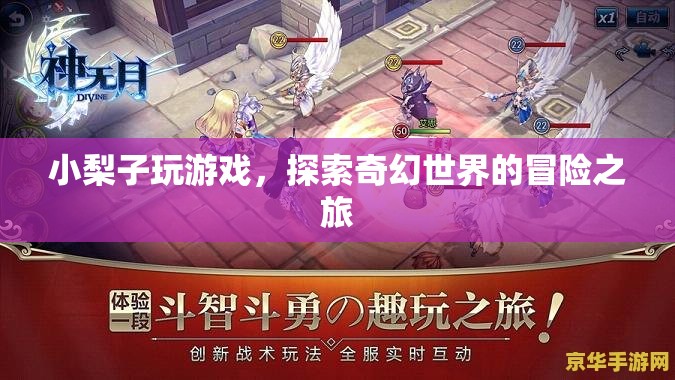 小梨子奇幻冒險之旅，探索奇幻世界的游戲之旅