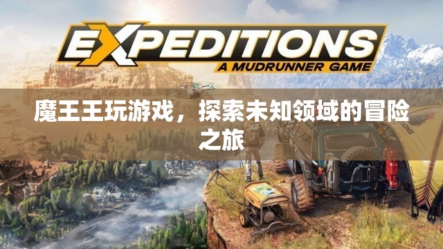 魔王王的游戲冒險之旅，探索未知領(lǐng)域