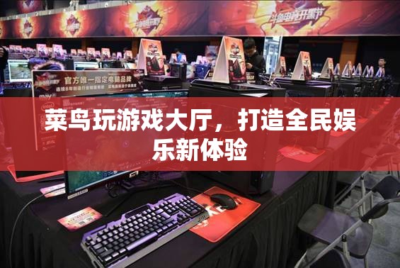 菜鳥玩游戲大廳，開啟全民娛樂新篇章