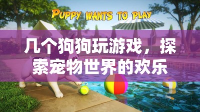狗狗們的歡樂(lè)冒險(xiǎn)，探索寵物世界的游戲之旅