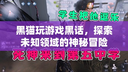 黑貓游戲，解鎖未知領(lǐng)域的神秘冒險(xiǎn)