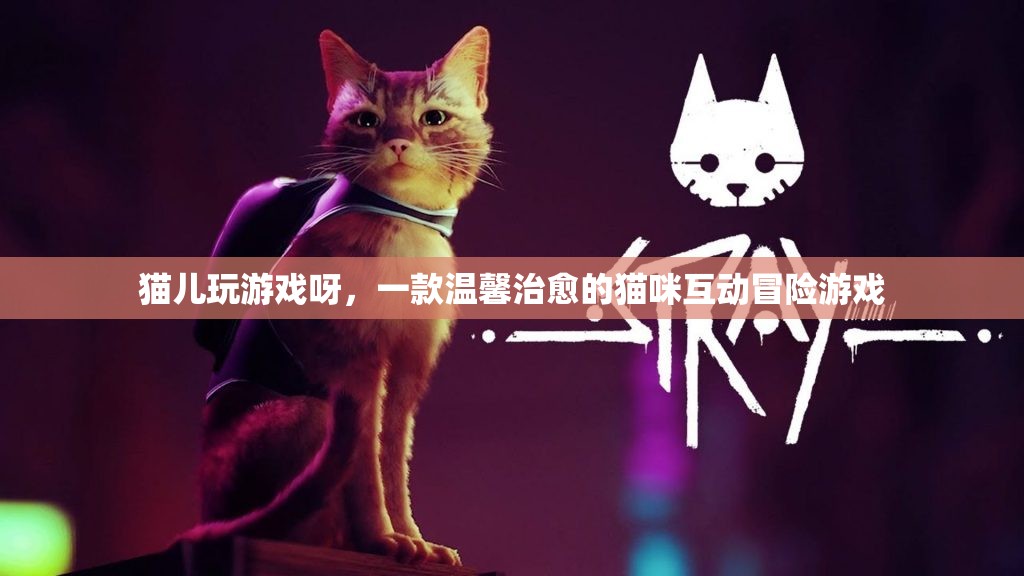 貓兒玩游戲呀，溫馨治愈的貓咪互動冒險(xiǎn)游戲