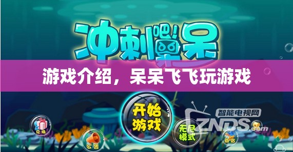 呆呆飛飛，趣味橫生的游戲之旅