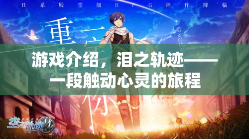 淚之軌跡，一段觸動心靈的旅程