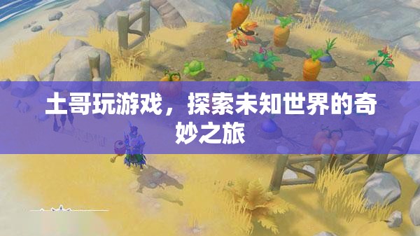 土哥探索未知世界的奇妙游戲之旅