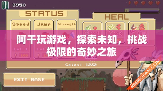 阿干，探索未知，挑戰(zhàn)極限的奇妙游戲之旅