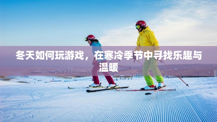 冬天游戲攻略，在寒冷中尋樂(lè)趣與溫暖