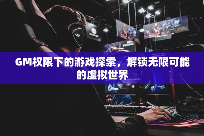 GM權(quán)限下的游戲探索，解鎖虛擬世界的無(wú)限可能