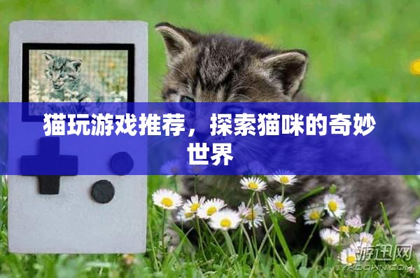 探索貓咪的奇妙世界，貓玩游戲推薦