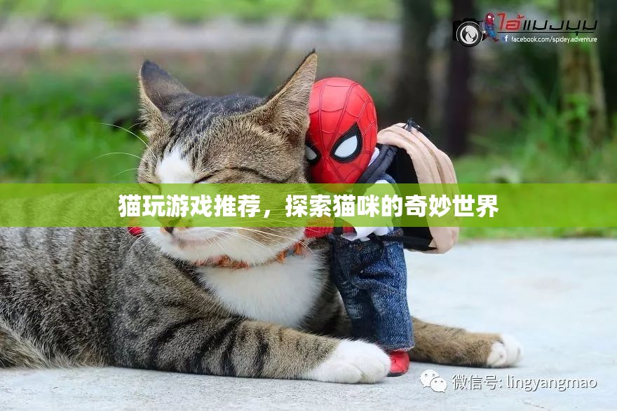 探索貓咪的奇妙世界，貓玩游戲推薦