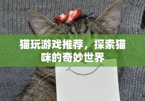 探索貓咪的奇妙世界，貓玩游戲推薦