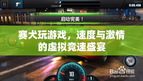 賽犬玩游戲，虛擬競速盛宴的速度與激情