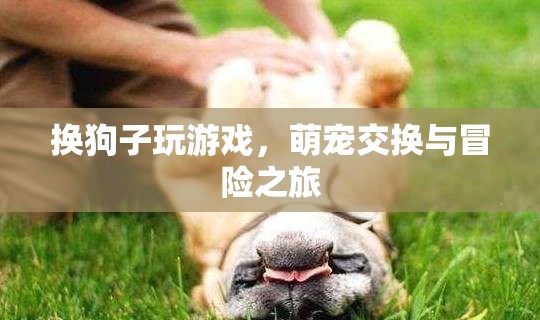 萌寵交換，開啟狗狗冒險(xiǎn)之旅  第1張