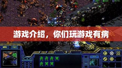 游戲迷們的病態(tài)世界，探索游戲背后的奧秘與樂(lè)趣