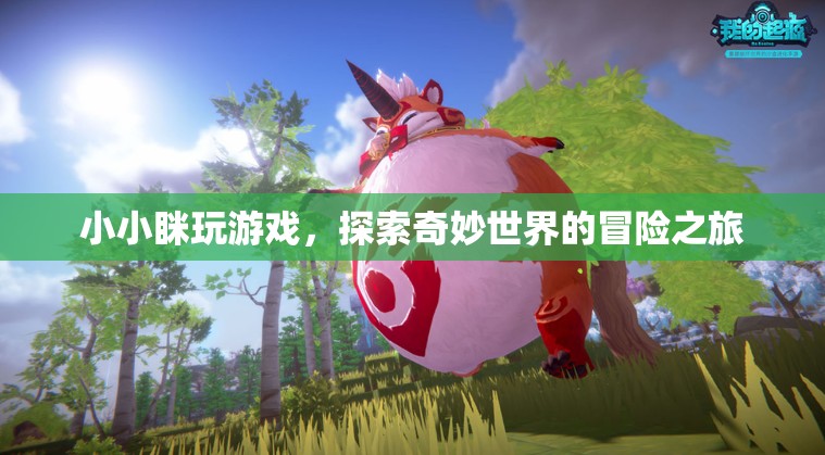 小小瞇的奇妙冒險(xiǎn)，探索游戲世界的奇幻之旅  第1張