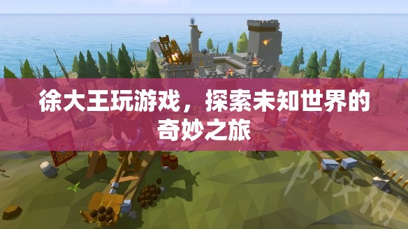 徐大王探索未知世界的奇妙游戲之旅