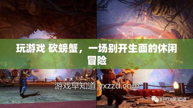 砍螃蟹，一場別開生面的休閑冒險之旅
