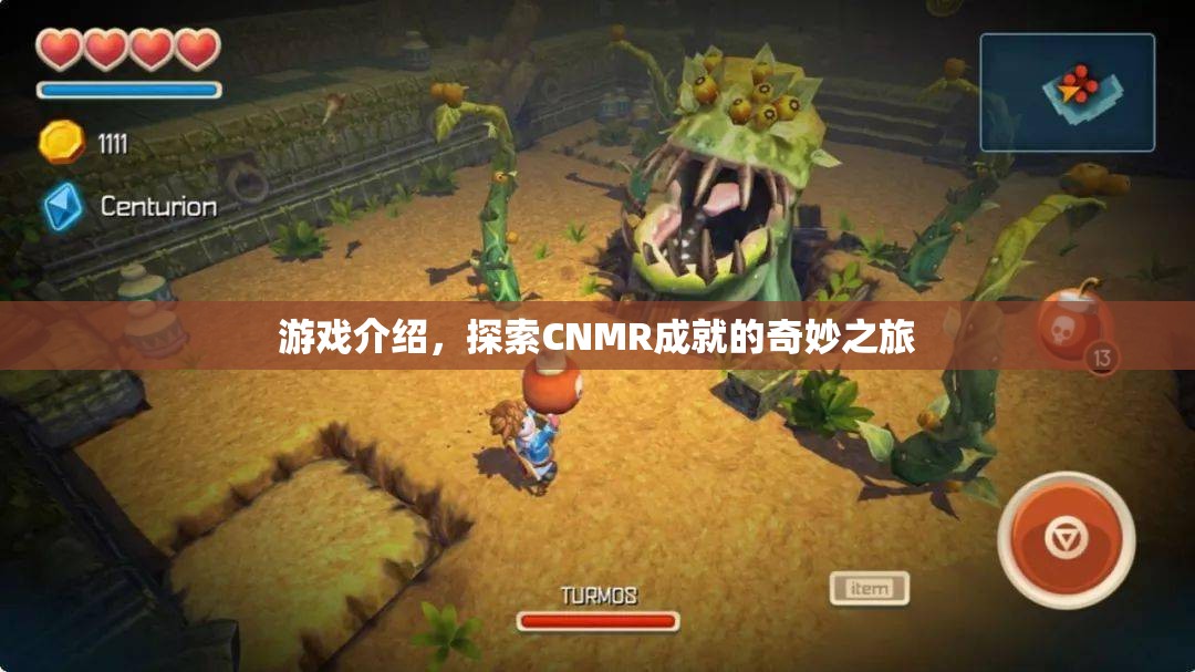 探索CNMR成就的奇妙之旅，游戲介紹