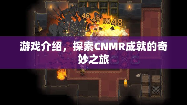探索CNMR成就的奇妙之旅，游戲介紹