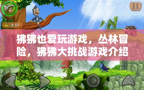 狒狒叢林冒險，大挑戰(zhàn)游戲來襲