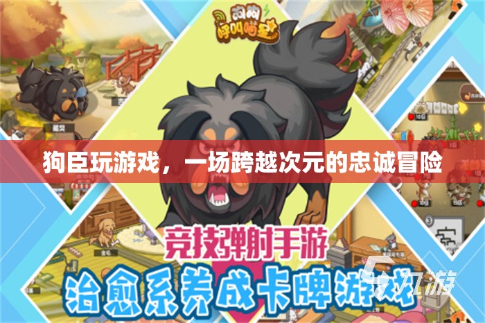 狗臣的跨界忠誠冒險(xiǎn)，游戲與現(xiàn)實(shí)的交織之旅