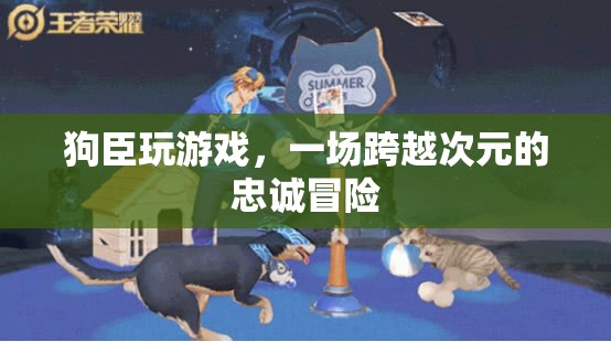 狗臣的跨界忠誠冒險(xiǎn)，游戲與現(xiàn)實(shí)的交織之旅