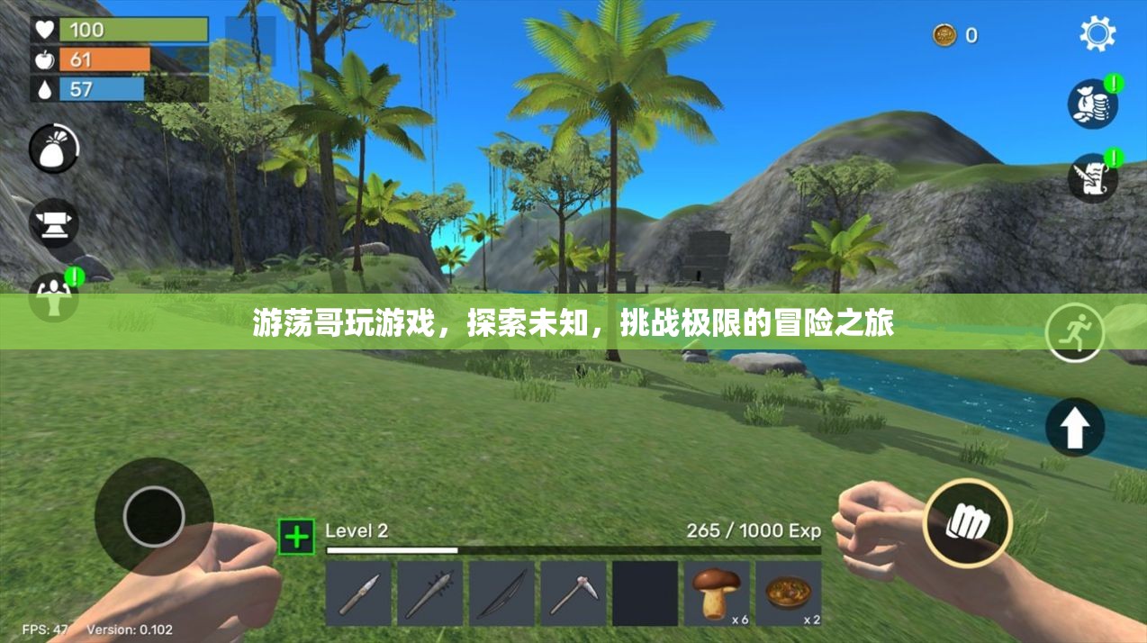 游蕩哥，挑戰(zhàn)極限，探索未知的冒險(xiǎn)游戲之旅