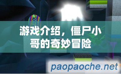 僵尸小哥的奇妙冒險，探索未知世界的冒險之旅