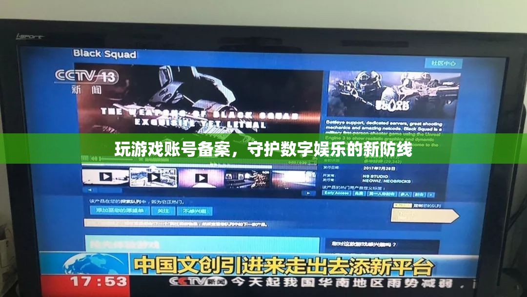 游戲賬號(hào)備案，守護(hù)數(shù)字娛樂的新防線