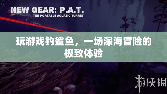 深海冒險，一場與鯊魚共舞的極致游戲體驗