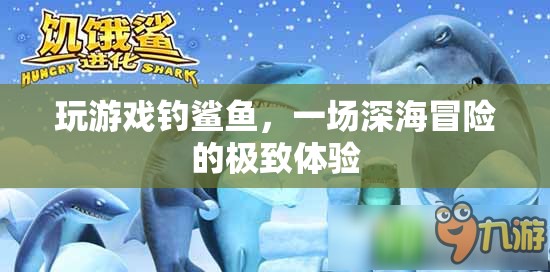 深海冒險，一場與鯊魚共舞的極致游戲體驗