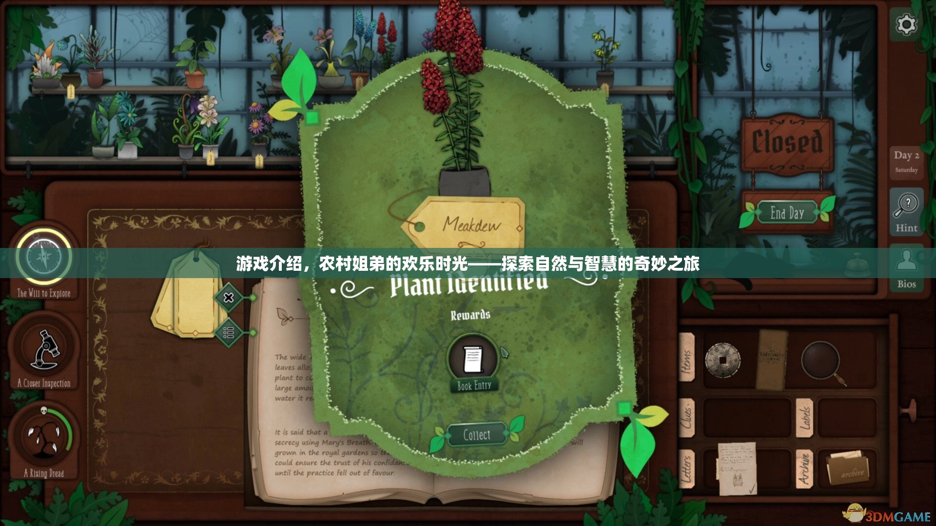 農(nóng)村姐弟的歡樂(lè)時(shí)光，探索自然與智慧的奇妙之旅
