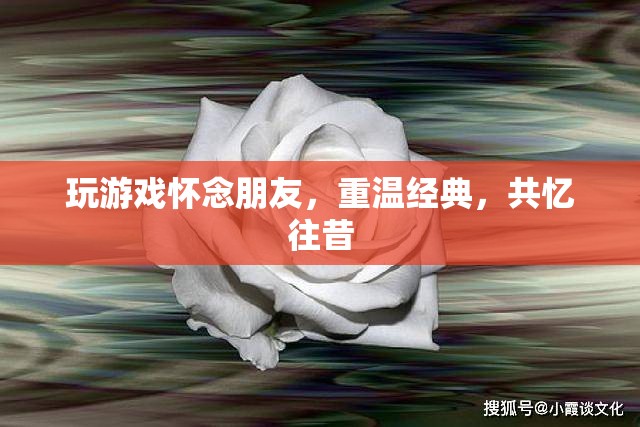 重溫經(jīng)典游戲，共憶友情時(shí)光  第3張