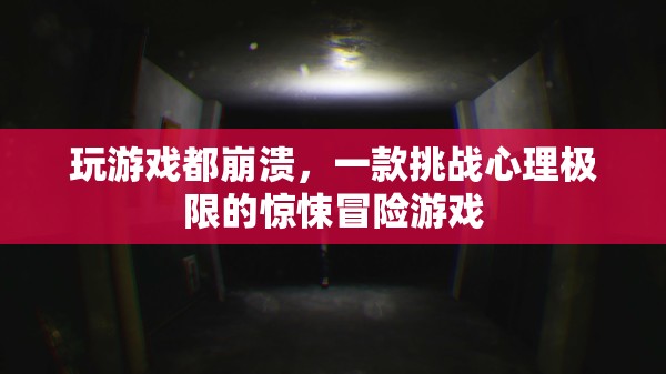 一款挑戰(zhàn)心理極限的驚悚冒險(xiǎn)游戲，玩游戲都崩潰