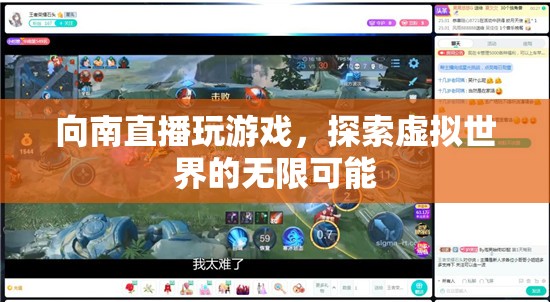 探索虛擬世界的無限可能，向南直播玩游戲