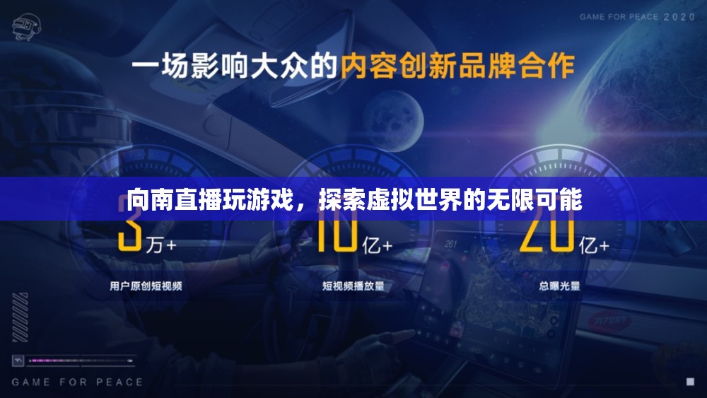 探索虛擬世界的無限可能，向南直播玩游戲
