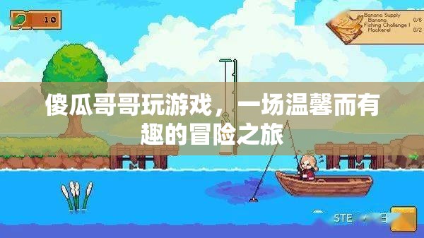 傻瓜哥哥的游戲冒險之旅  第3張