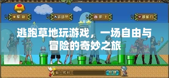 草地上的自由冒險(xiǎn)，一場奇妙的游戲之旅
