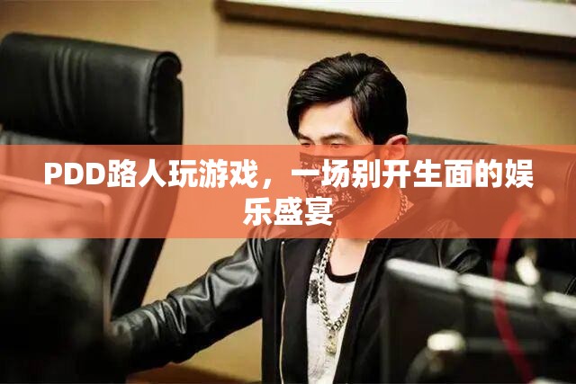 PDD路人局游戲，打造娛樂(lè)盛宴