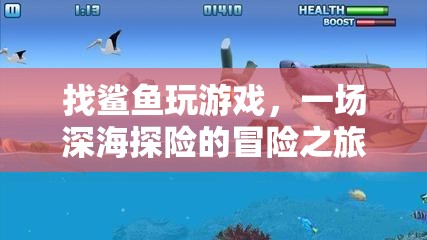 一場(chǎng)與鯊魚(yú)共舞的深海探險(xiǎn)之旅