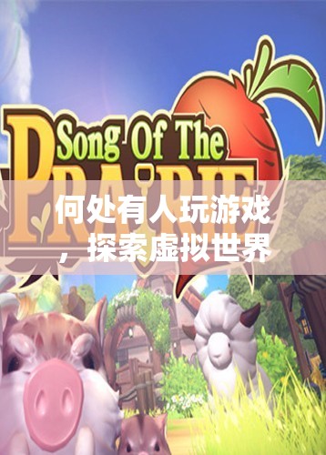 探索虛擬世界的無(wú)限可能，游戲玩家的奇妙之旅