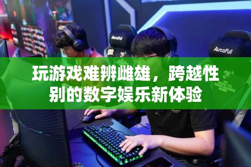 跨越性別界限，數(shù)字娛樂(lè)中的游戲新體驗(yàn)