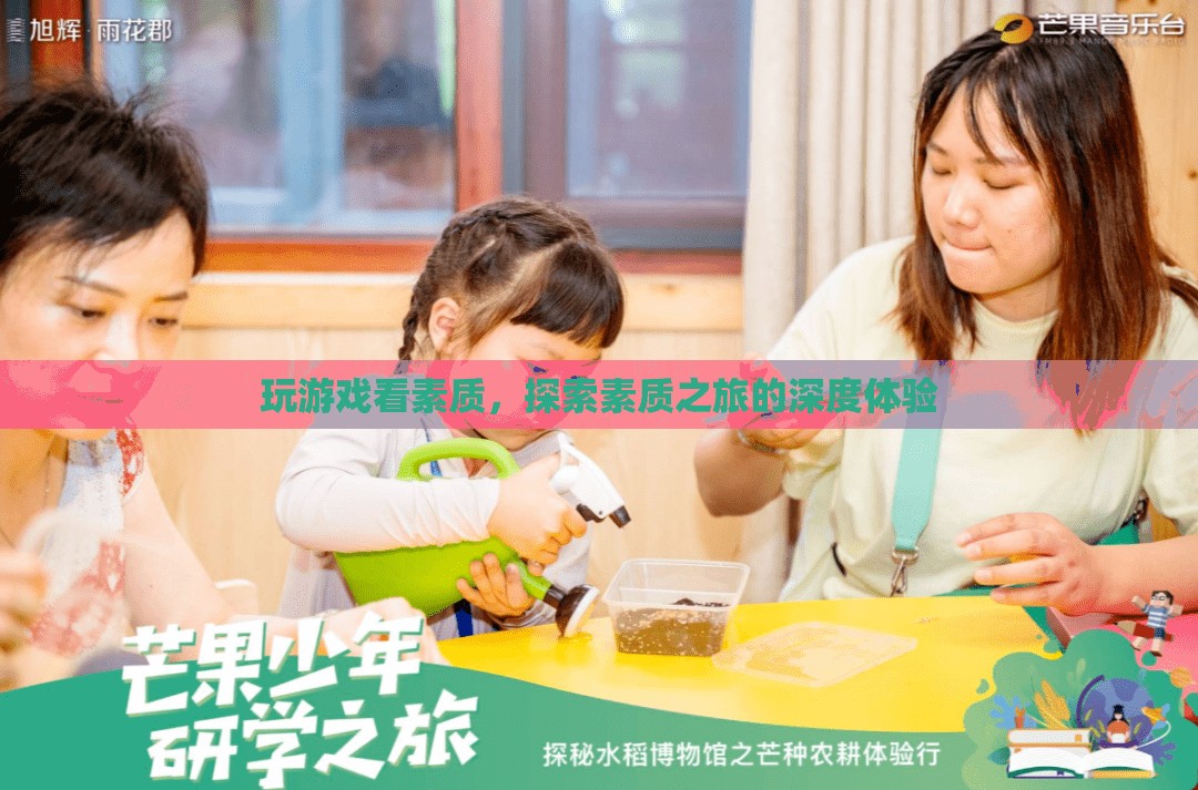探索素質(zhì)之旅，深度體驗(yàn)游戲與素質(zhì)的關(guān)系