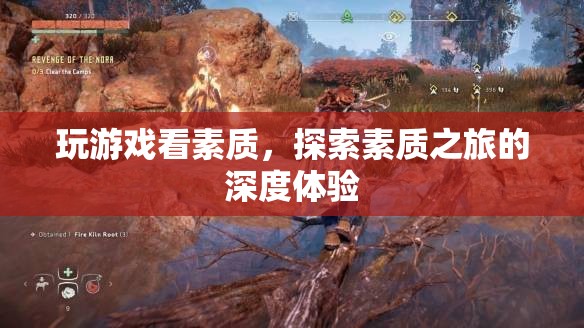 探索素質(zhì)之旅，深度體驗(yàn)游戲與素質(zhì)的關(guān)系